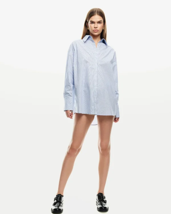 Shop LIONESS Boyfriend Long Sleeve Shirt In Blue Stripe