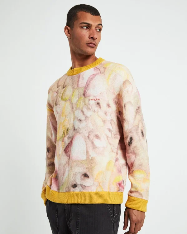Online INSIGHT Gili Knit In Multi