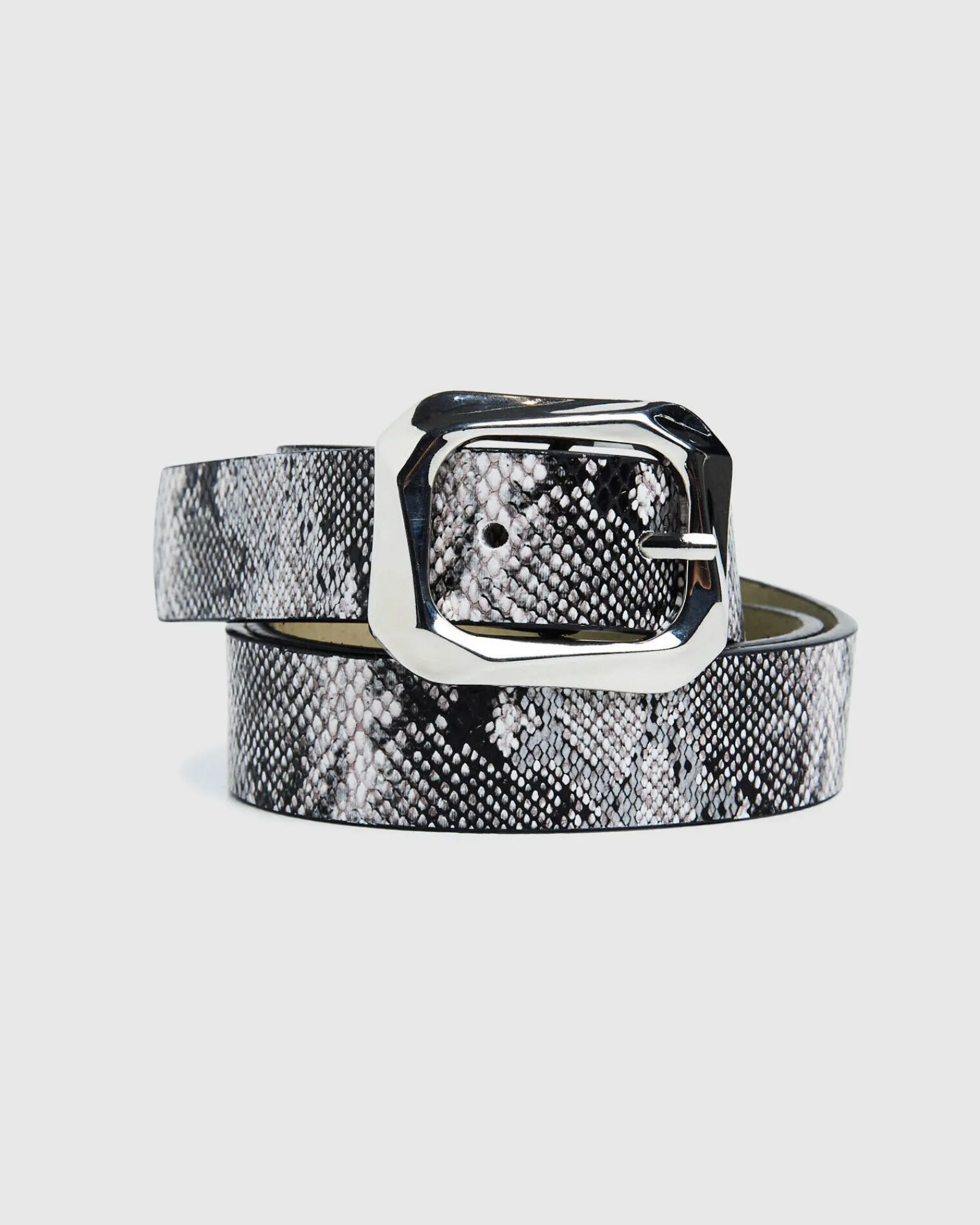 nova_belt_black_snake_1.webp Store NEON HART Nova Belt Black Snake