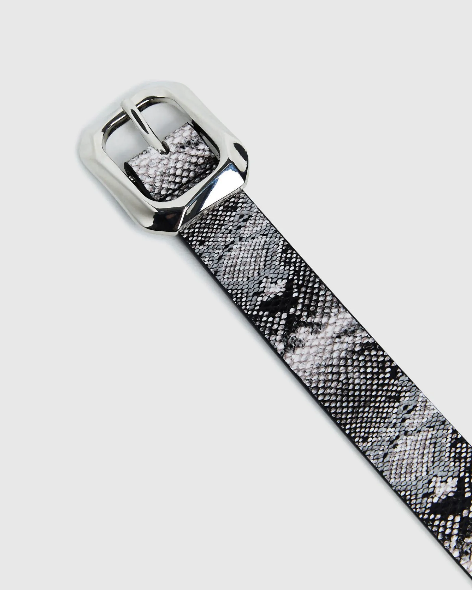 nova_belt_black_snake_2.webp Store NEON HART Nova Belt Black Snake